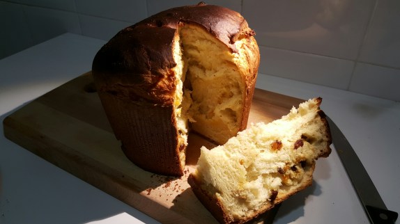 wp-1449956500448 image