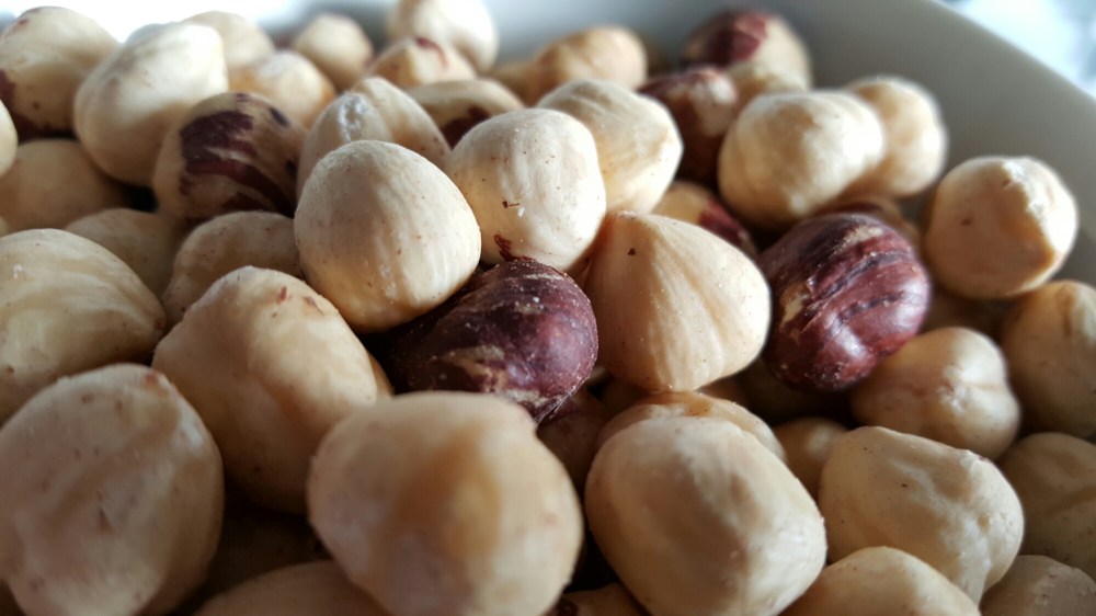 wp-1456235412385 image