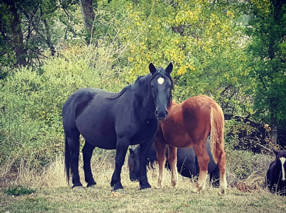 captura-de-pantalla-2016-10-16-21-44-52